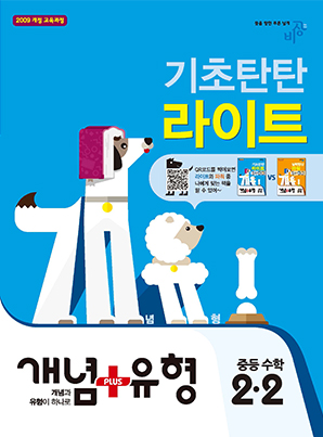 개념플러스유형 라이트 ②-2