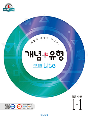 개념플러스유형 라이트 1-1