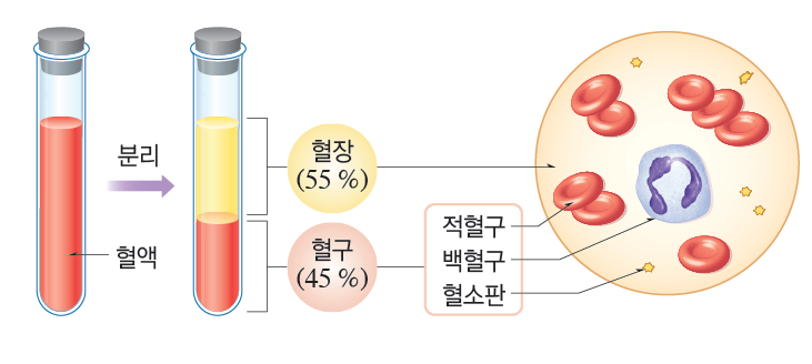 2019년 2학기 오투 중등 교사용 부록 CD
